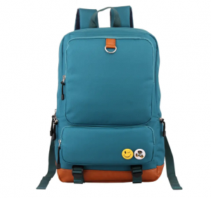 China manufacture high quality custom multicolor students waterproof laptop antitheft business backpack backpack wholesaler