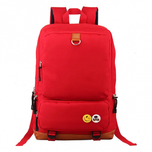 China manufacture high quality custom multicolor students waterproof laptop antitheft business backpack backpack wholesaler